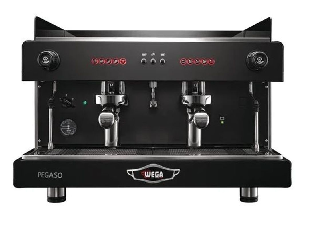 Wega Pegaso WCM-01 фото
