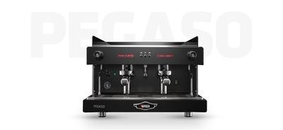 Wega Pegaso WCM-01 фото
